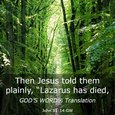 Picture 03 - John 11:14 GW - Then Jesus told them plainly, “Lazarus has - Bible Verse Picture