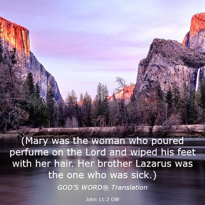 Picture 03 - John 11:2 GW - (Mary was the woman who poured perfume on the - Bible Verse Picture