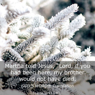 Picture 03 - John 11:21 GW - Martha told Jesus, “Lord, if you had been here, - Bible Verse Picture