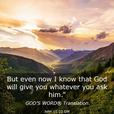 Picture 03 - John 11:22 GW - But even now I know that God will give you - Bible Verse Picture
