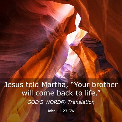 Picture 03 - John 11:23 GW - Jesus told Martha, “Your brother will come back - Bible Verse Picture