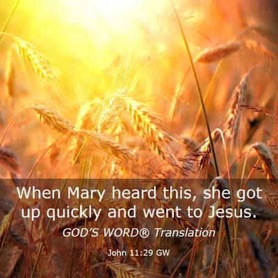 Picture 03 - John 11:29 GW - When Mary heard this, she got up quickly and went - Bible Verse Picture