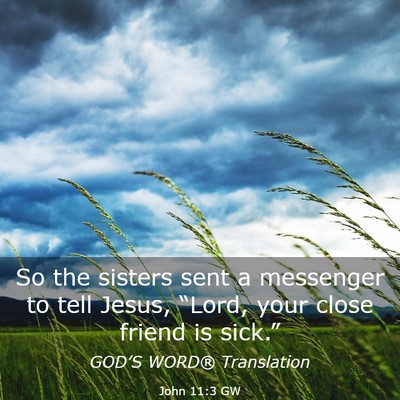Picture 03 - John 11:3 GW - So the sisters sent a messenger to tell Jesus, - Bible Verse Picture