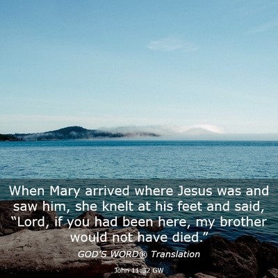 Picture 03 - John 11:32 GW - When Mary arrived where Jesus was and saw him, - Bible Verse Picture