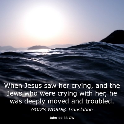 Picture 03 - John 11:33 GW - When Jesus saw her crying, and the Jews who were - Bible Verse Picture