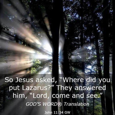 Picture 03 - John 11:34 GW - So Jesus asked, “Where did you put Lazarus?” - Bible Verse Picture