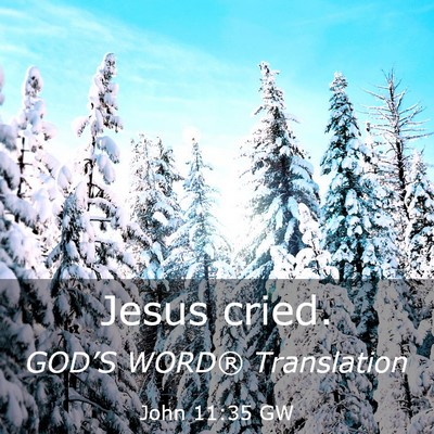 Picture 03 - John 11:35 GW - Jesus - Bible Verse Picture