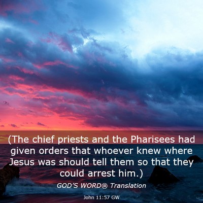 Picture 03 - John 11:57 GW - (The chief priests and the Pharisees had given - Bible Verse Picture