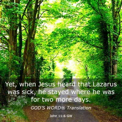 Picture 03 - John 11:6 GW - Yet, when Jesus heard that Lazarus was sick, he - Bible Verse Picture