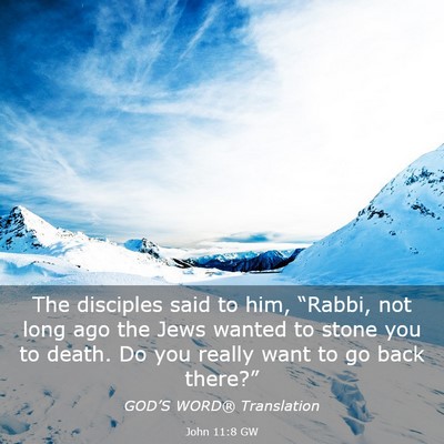Picture 03 - John 11:8 GW - The disciples said to him, “Rabbi, not long ago - Bible Verse Picture