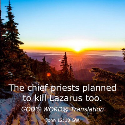 Picture 03 - John 12:10 GW - The chief priests planned to kill Lazarus - Bible Verse Picture