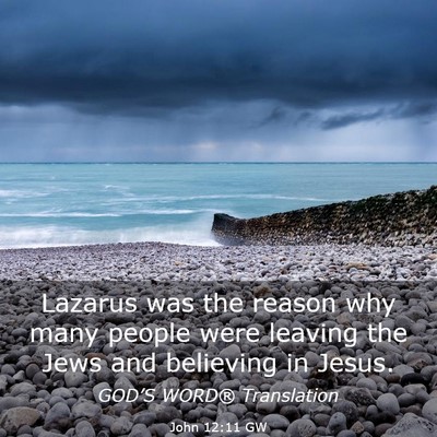 Picture 03 - John 12:11 GW - Lazarus was the reason why many people were - Bible Verse Picture