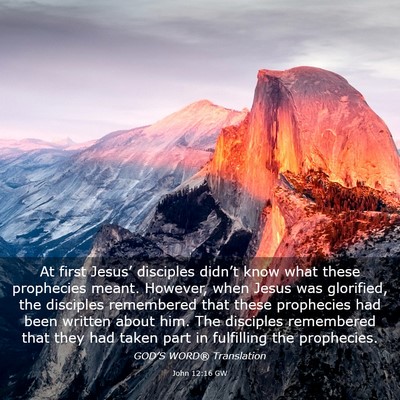 Picture 03 - John 12:16 GW - At first Jesus’ disciples didn’t know what - Bible Verse Picture