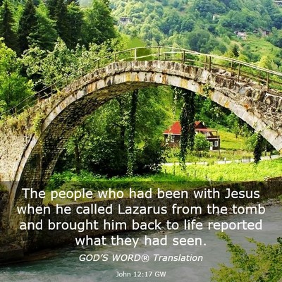 Picture 03 - John 12:17 GW - The people who had been with Jesus when he called - Bible Verse Picture