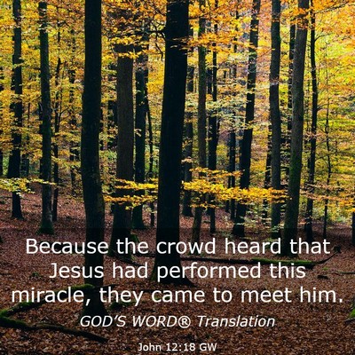 Picture 03 - John 12:18 GW - Because the crowd heard that Jesus had performed - Bible Verse Picture