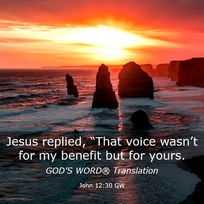 Picture 03 - John 12:30 GW - Jesus replied, “That voice wasn’t for my - Bible Verse Picture
