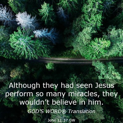 Picture 03 - John 12:37 GW - Although they had seen Jesus perform so many - Bible Verse Picture