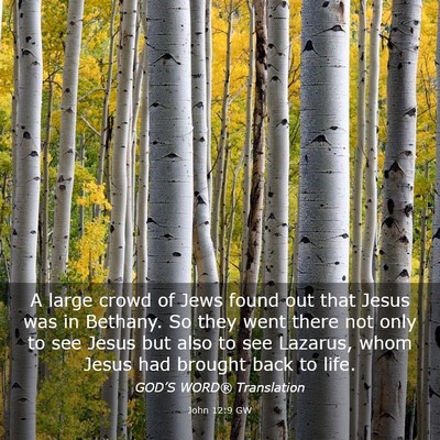 Picture 03 - John 12:9 GW - A large crowd of Jews found out that Jesus was in - Bible Verse Picture