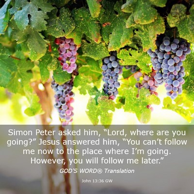 Picture 03 - John 13:36 GW - Simon Peter asked him, “Lord, where are you - Bible Verse Picture