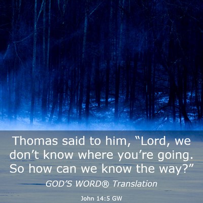 Picture 03 - John 14:5 GW - Thomas said to him, “Lord, we don’t know - Bible Verse Picture