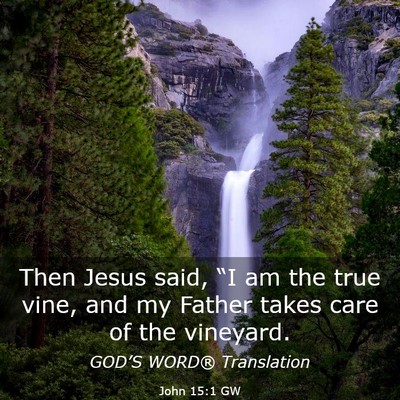 Picture 03 - John 15:1 GW - Then Jesus said, “I am the true vine, and my - Bible Verse Picture