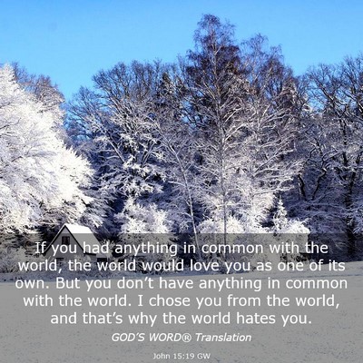 Picture 03 - John 15:19 GW - If you had anything in common with the world, the - Bible Verse Picture
