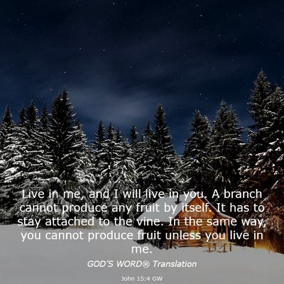 Picture 03 - John 15:4 GW - Live in me, and I will live in you. A branch - Bible Verse Picture
