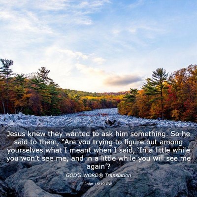 Picture 03 - John 16:19 GW - Jesus knew they wanted to ask him something. So - Bible Verse Picture