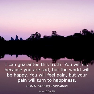 Picture 03 - John 16:20 GW - I can guarantee this truth: You will cry because - Bible Verse Picture