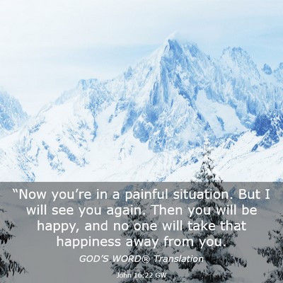 Picture 03 - John 16:22 GW - “Now you’re in a painful situation. But I - Bible Verse Picture