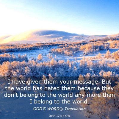 Picture 03 - John 17:14 GW - I have given them your message. But the world has - Bible Verse Picture