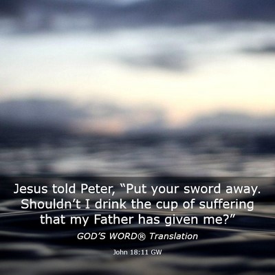 Picture 03 - John 18:11 GW - Jesus told Peter, “Put your sword away. - Bible Verse Picture