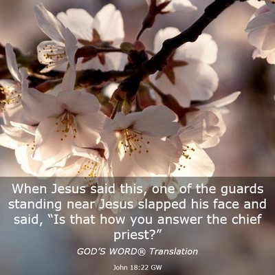 Picture 03 - John 18:22 GW - When Jesus said this, one of the guards standing - Bible Verse Picture