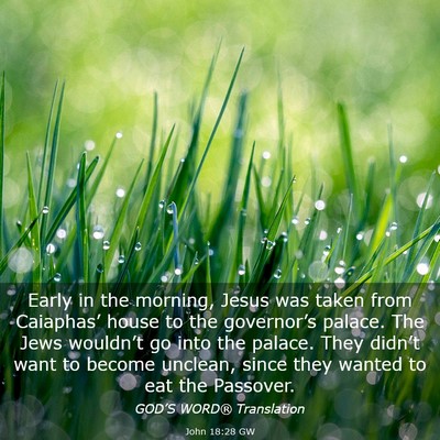 Picture 03 - John 18:28 GW - Early in the morning, Jesus was taken from - Bible Verse Picture