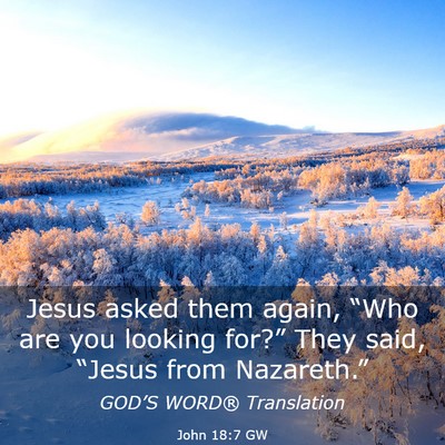 Picture 03 - John 18:7 GW - Jesus asked them again, “Who are you looking - Bible Verse Picture