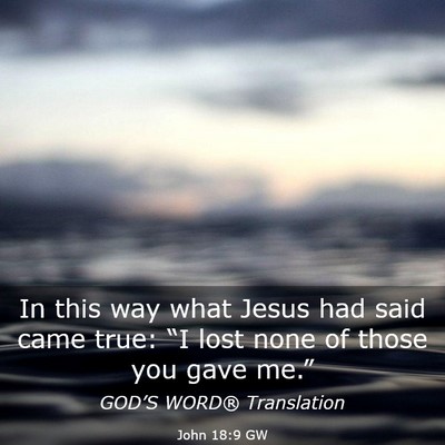 Picture 03 - John 18:9 GW - In this way what Jesus had said came true: “I - Bible Verse Picture