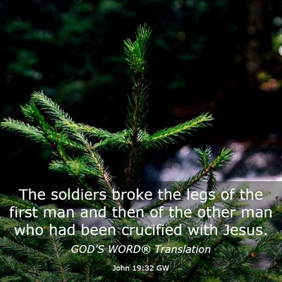 Picture 03 - John 19:32 GW - The soldiers broke the legs of the first man and - Bible Verse Picture