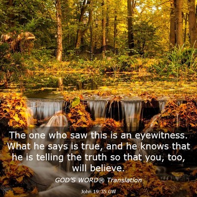 Picture 03 - John 19:35 GW - The one who saw this is an eyewitness. What he - Bible Verse Picture
