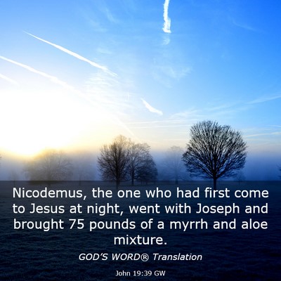 Picture 03 - John 19:39 GW - Nicodemus, the one who had first come to Jesus at - Bible Verse Picture
