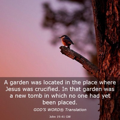Picture 03 - John 19:41 GW - A garden was located in the place where Jesus was - Bible Verse Picture