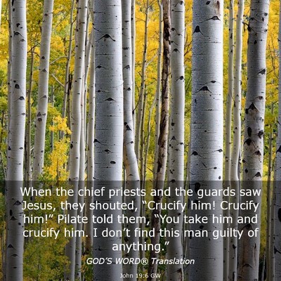 Picture 03 - John 19:6 GW - When the chief priests and the guards saw Jesus, - Bible Verse Picture
