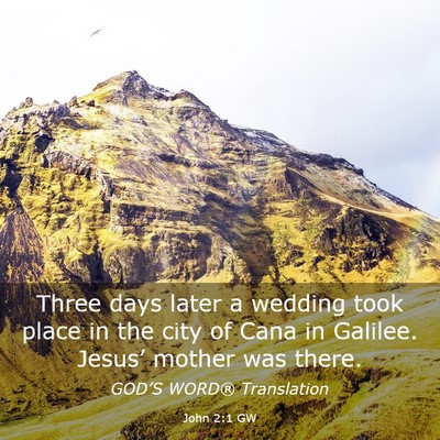 Picture 03 - John 2:1 GW - Three days later a wedding took place in the city - Bible Verse Picture