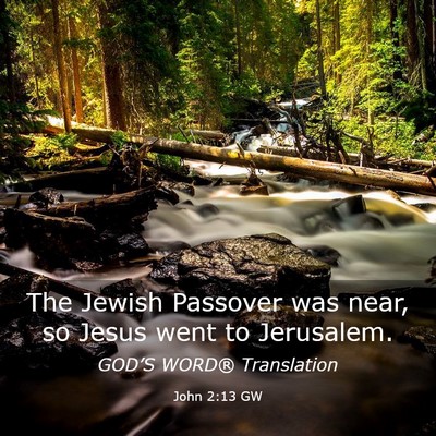 Picture 03 - John 2:13 GW - The Jewish Passover was near, so Jesus went to - Bible Verse Picture