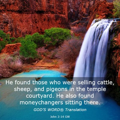 Picture 03 - John 2:14 GW - He found those who were selling cattle, sheep, - Bible Verse Picture