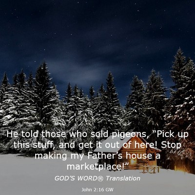 Picture 03 - John 2:16 GW - He told those who sold pigeons, “Pick up this - Bible Verse Picture