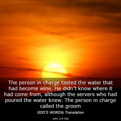 Picture 03 - John 2:9 GW - The person in charge tasted the water that had - Bible Verse Picture