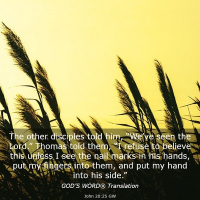 Picture 03 - John 20:25 GW - The other disciples told him, “We’ve seen the - Bible Verse Picture