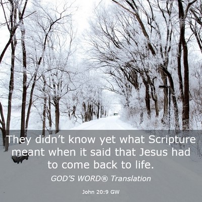Picture 03 - John 20:9 GW - They didn’t know yet what Scripture meant when - Bible Verse Picture
