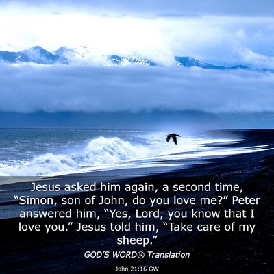 Picture 03 - John 21:16 GW - Jesus asked him again, a second time, “Simon, - Bible Verse Picture
