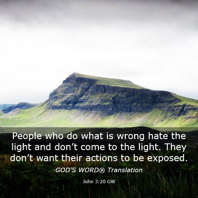 Picture 03 - John 3:20 GW - People who do what is wrong hate the light and - Bible Verse Picture